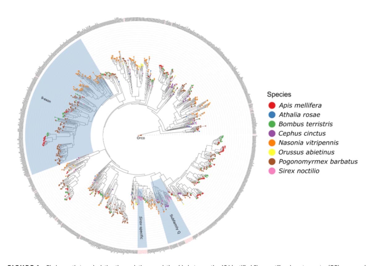 Genome map