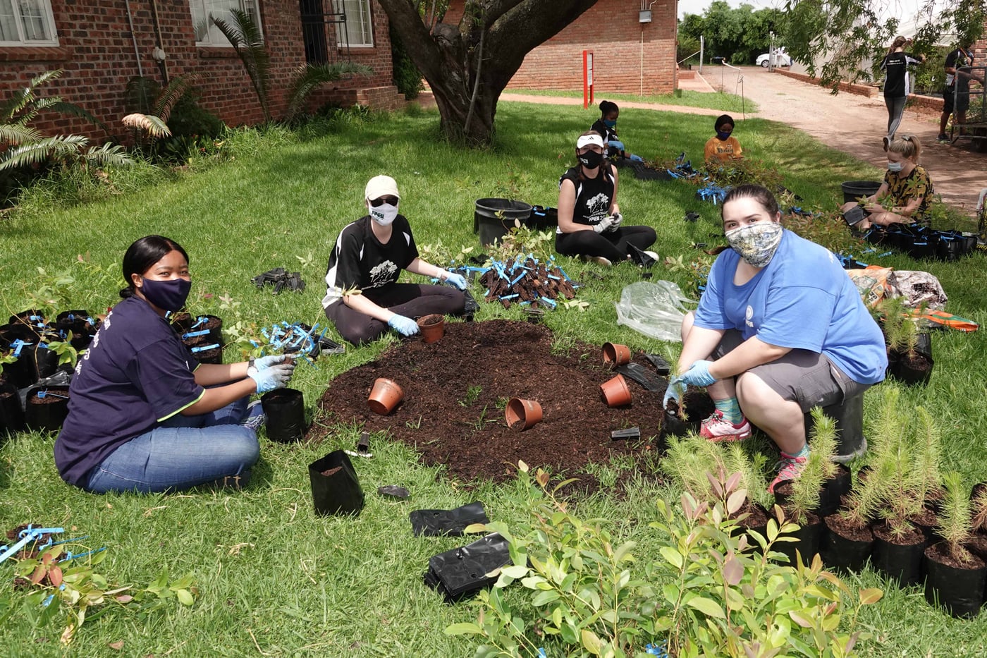 Last tree planting event for 2020