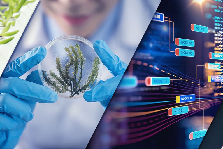 Partnership to bring big data techniques to Africa’s agriculture and forestry sectors