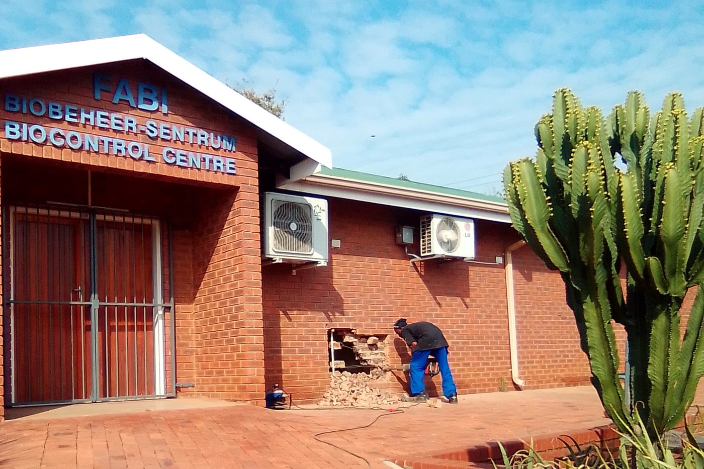 Construction of an artificial diet room started at the FABI Biocontrol Centre