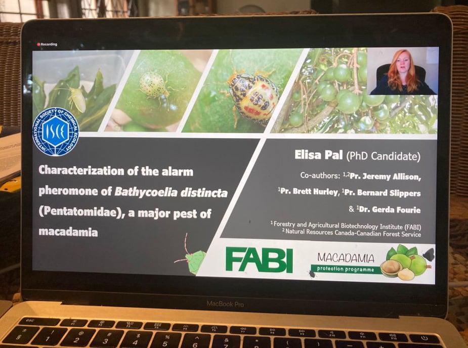 FABI well represented at the ISCE conference 2021