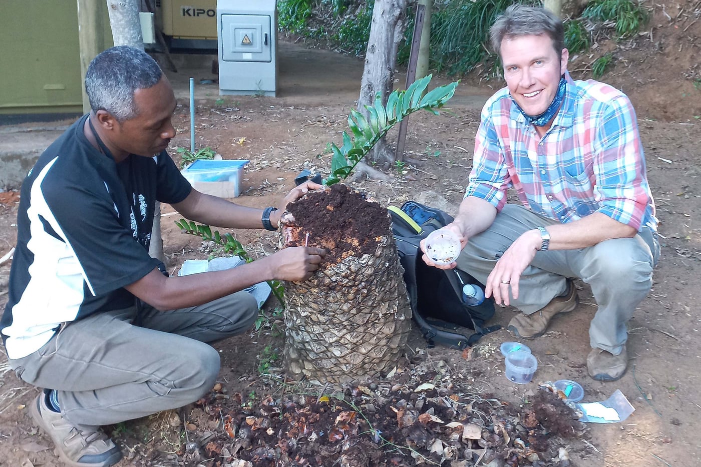 Assessment of plant health in the Cape botanical gardens