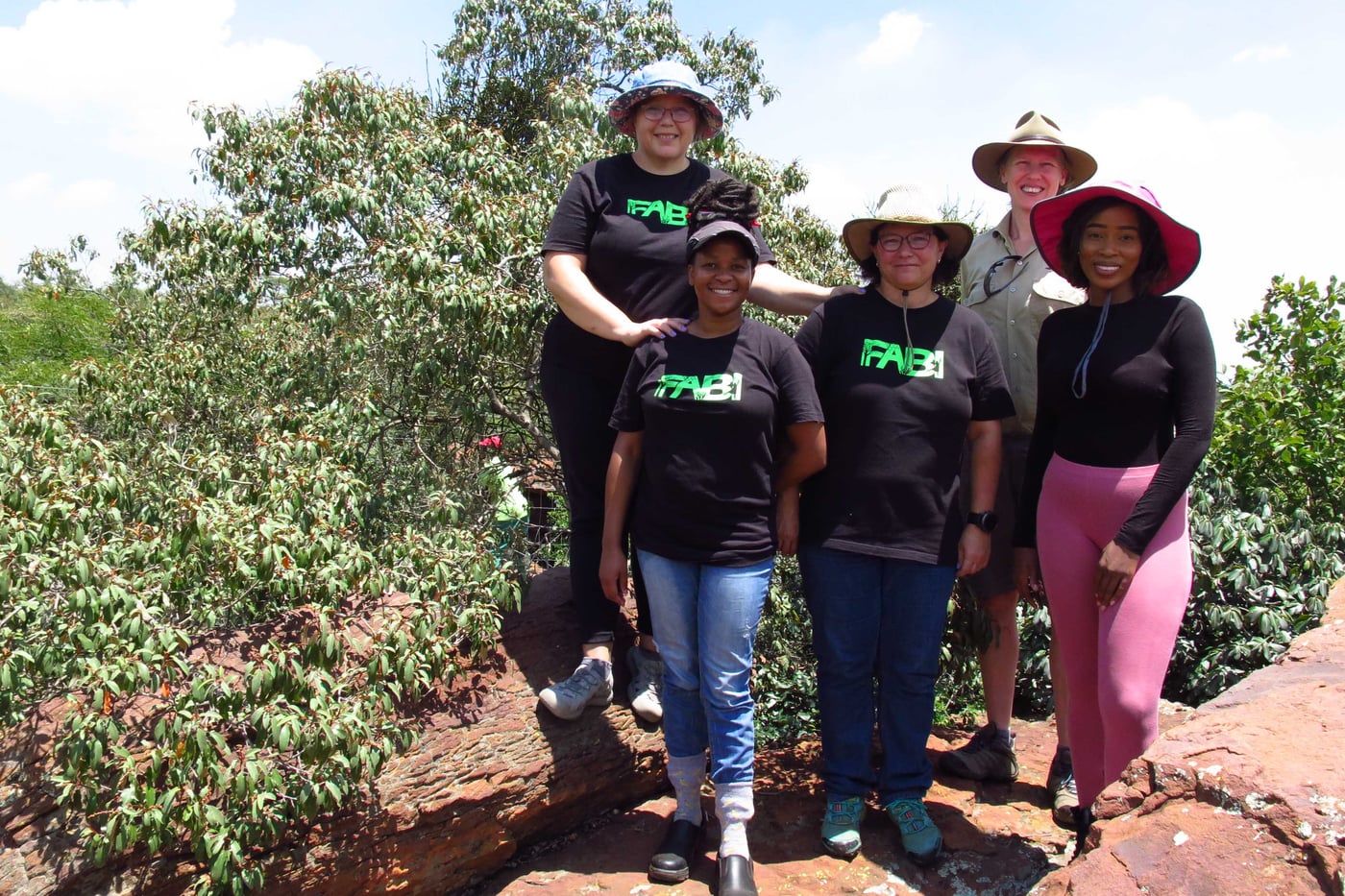 FABI researchers investigate <i>Protea</i> health problems in Pretoria