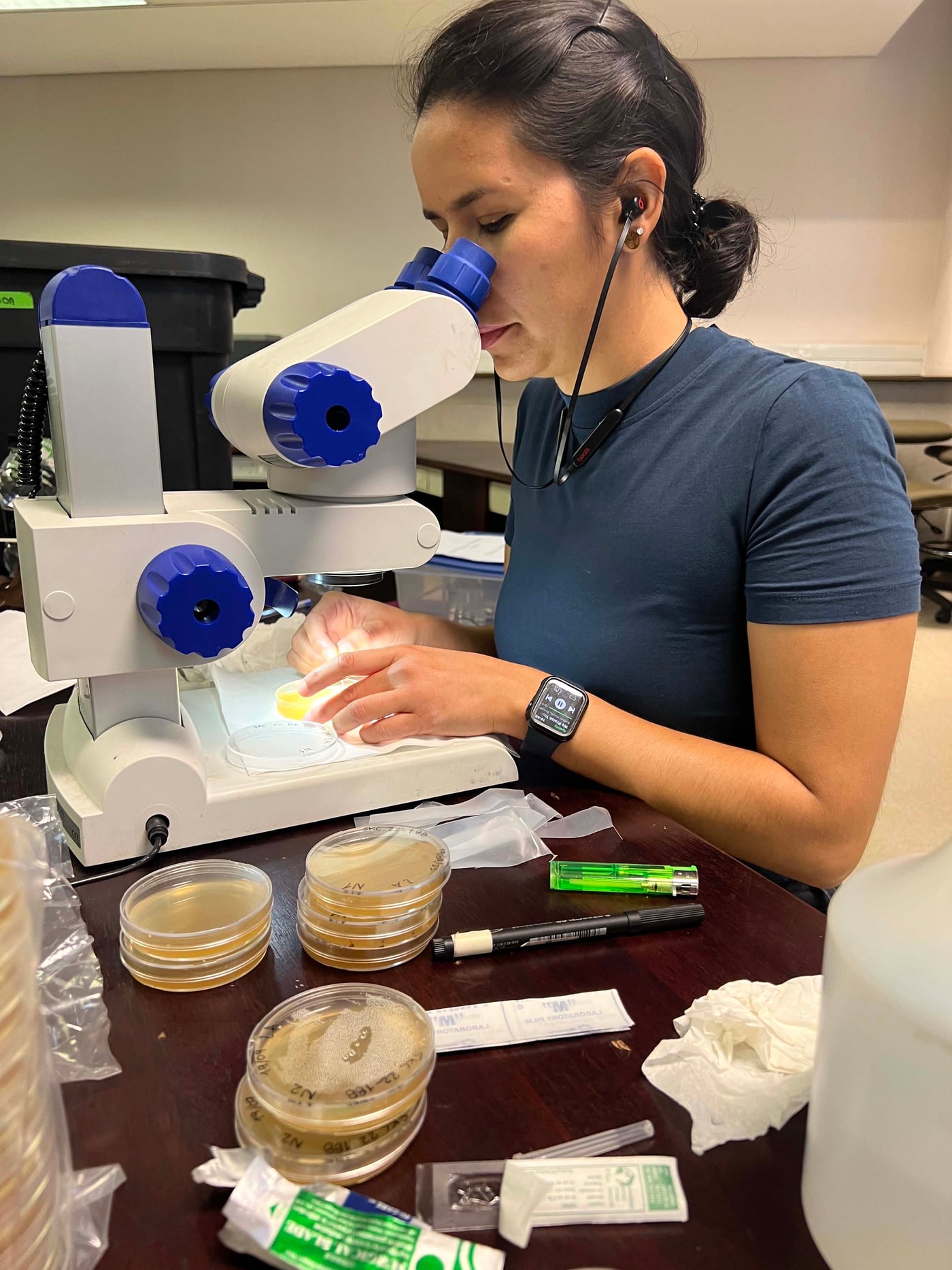 A fungal fiesta: Pine needle pathogen isolation jamboree