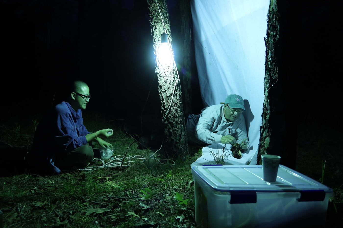 A final beetle-fungus collecting trip in Florida