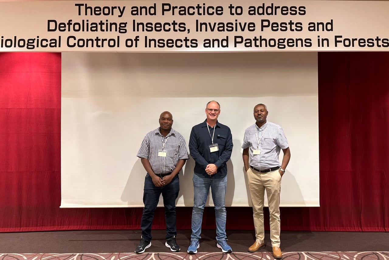 FABIans participate at IUFRO Division 7 Meeting in Japan