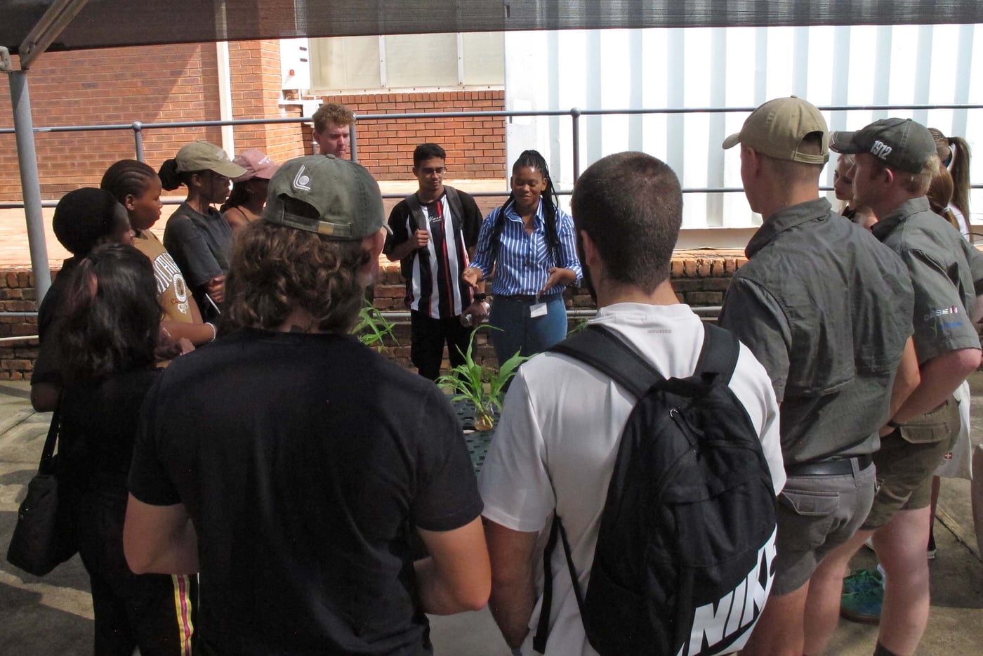 Crop Protection students visit the FABI Biocontrol Facility