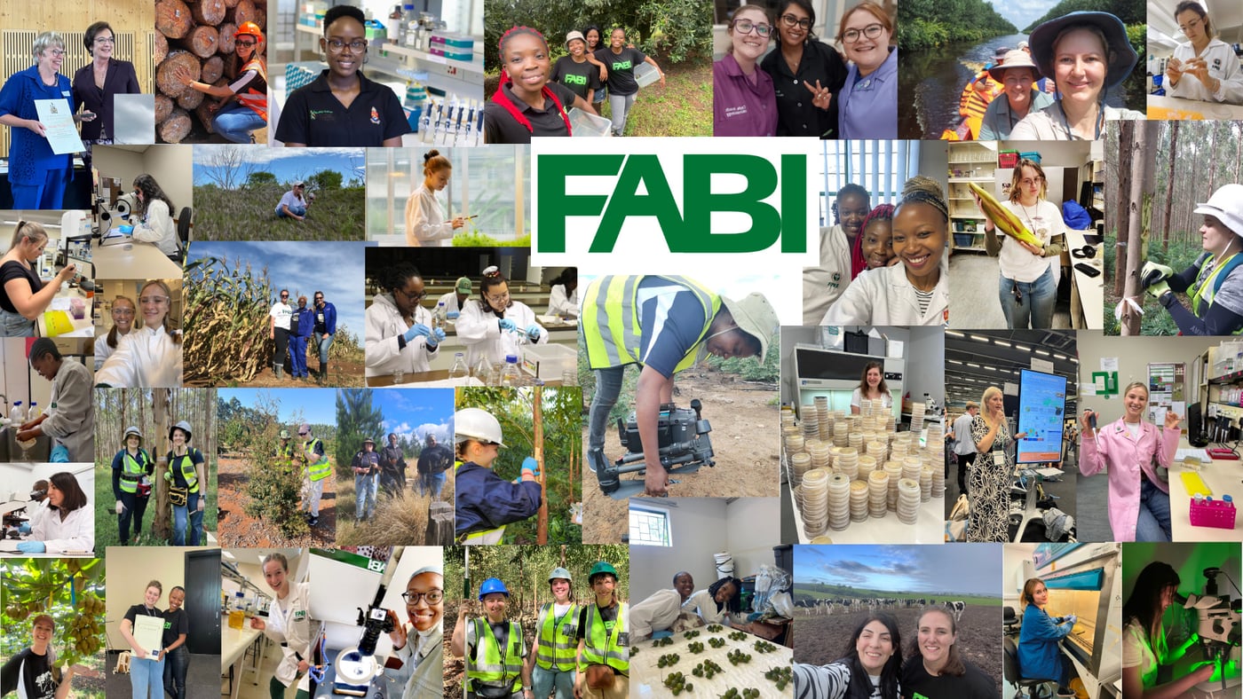International Day of Women and Girls in Science: Reflections from FABI