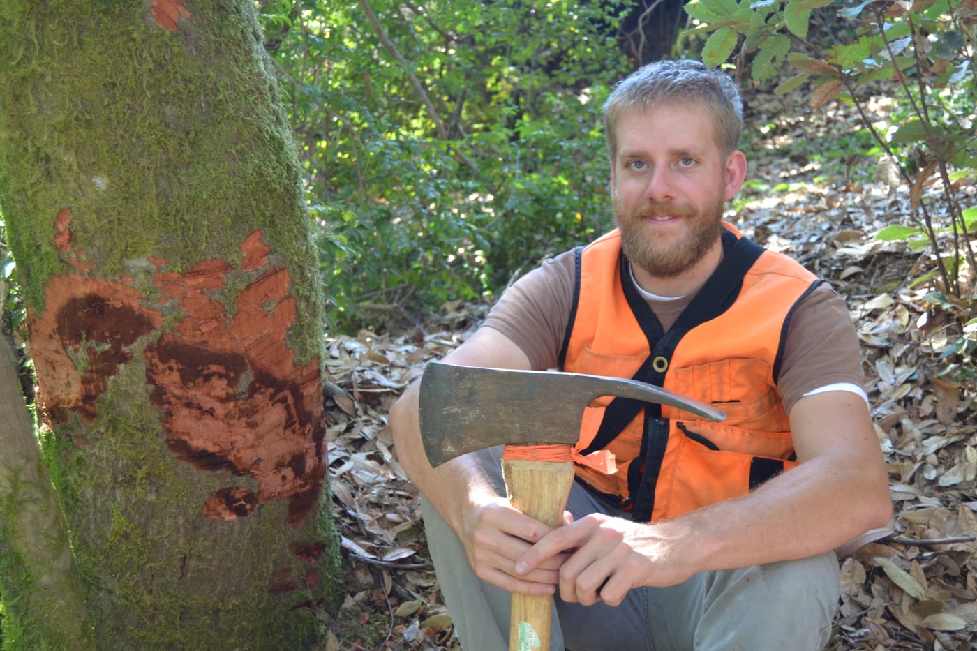 American student to start a citizen science research project at FABI