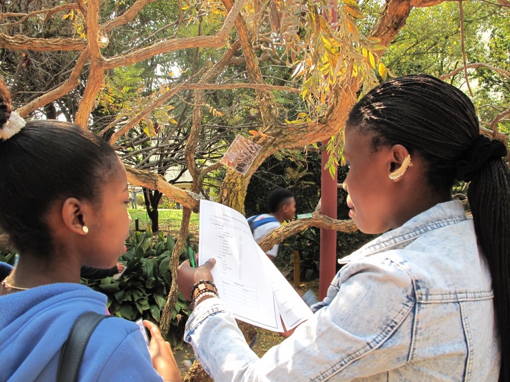 UP with Science introduces school children to hidden world of plant disease