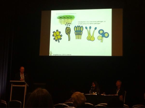 Six FABIans participate in the 20th Australasian Plant Pathology Society conference