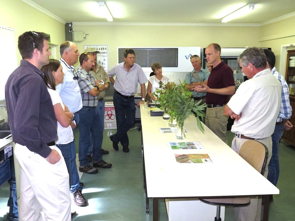 Macadamia growers visit FABI