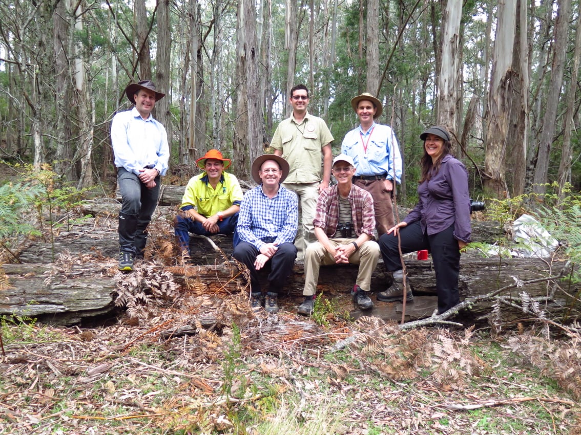 Exploring fungal biodiversity in eastern Australia