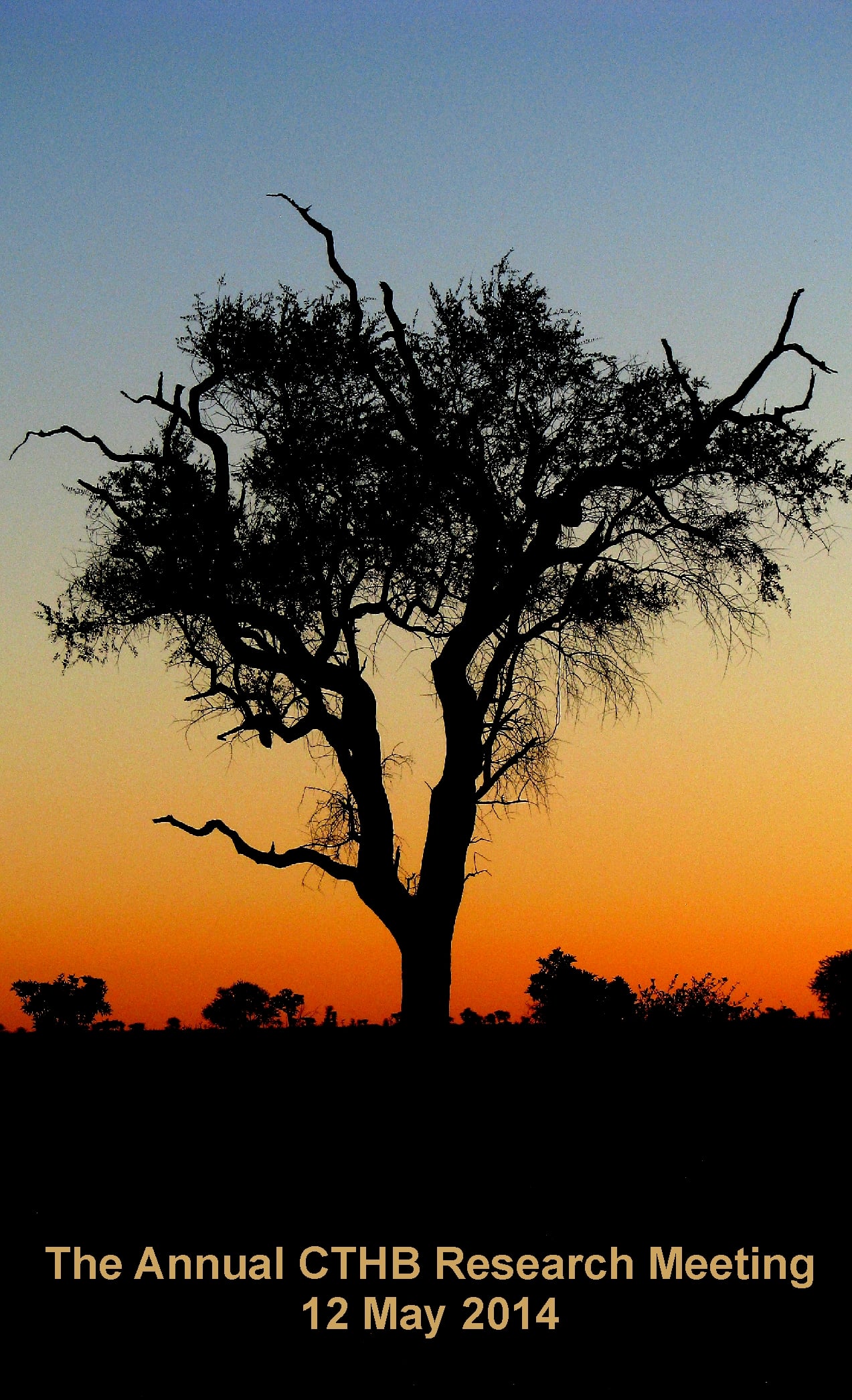 Seeing the Forest for the Trees: The Annual CTHB Research Meeting