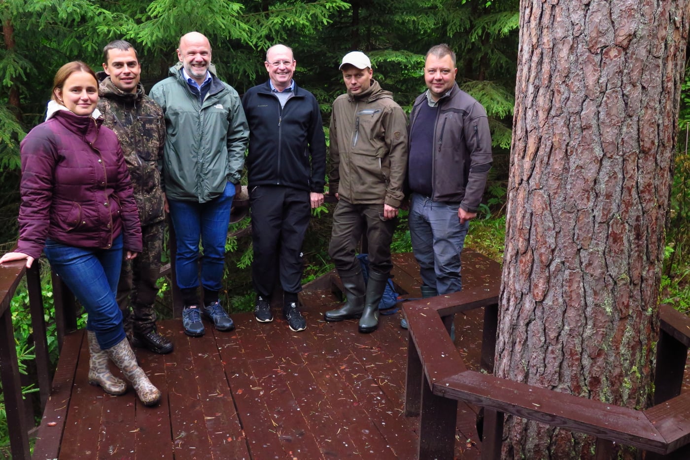 A brief forest pathology tour of south Estonia