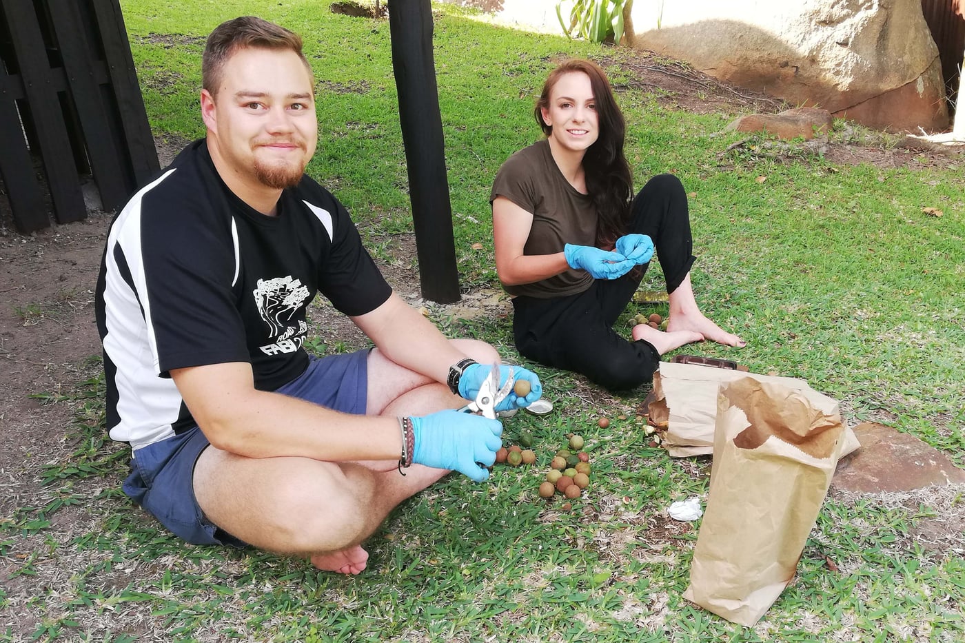 The Macadamia Protection Programme’s first survey for 2020
