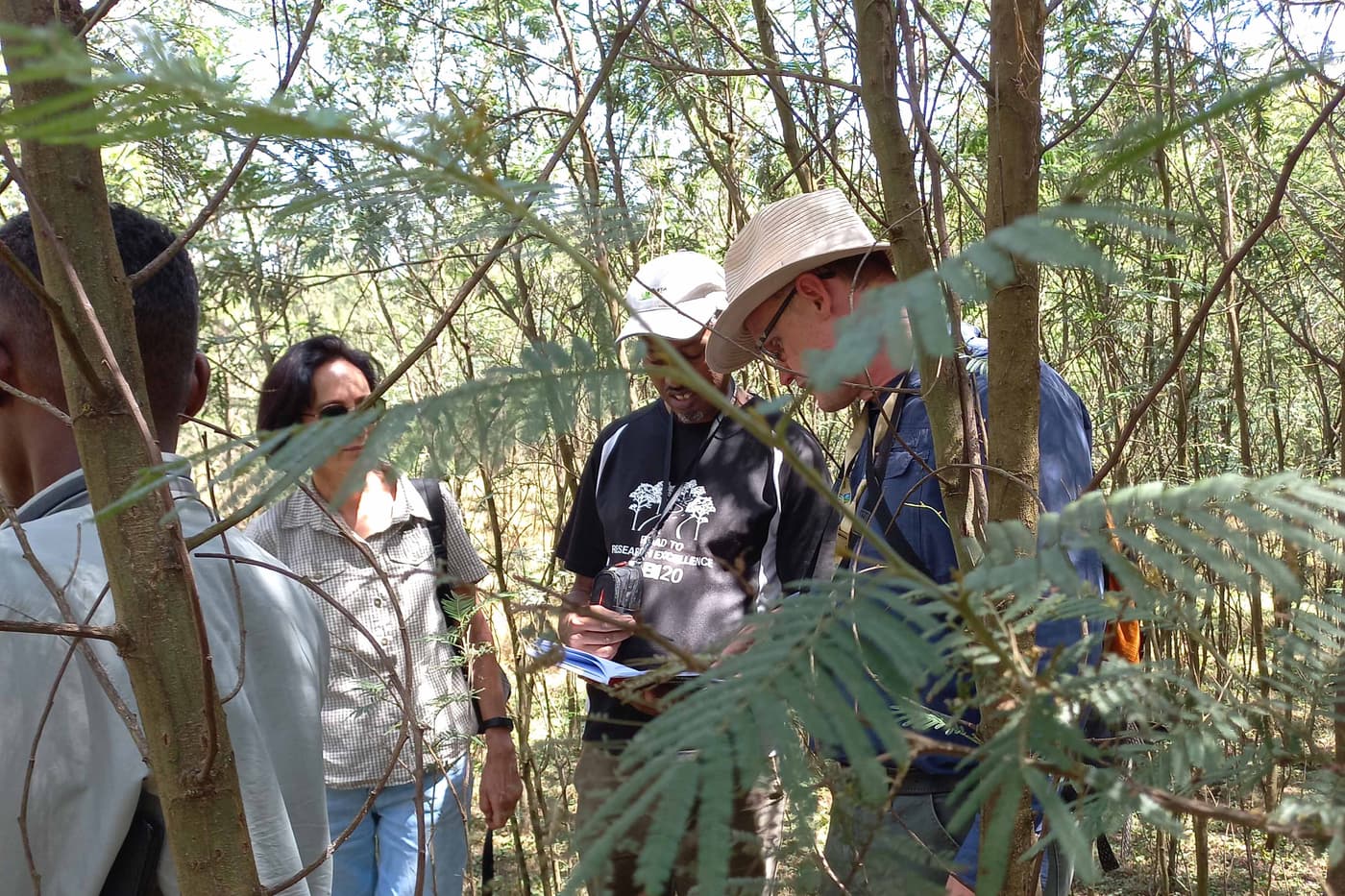 Survey of wattle pests and pathogens in Awi Zone, Ethiopia