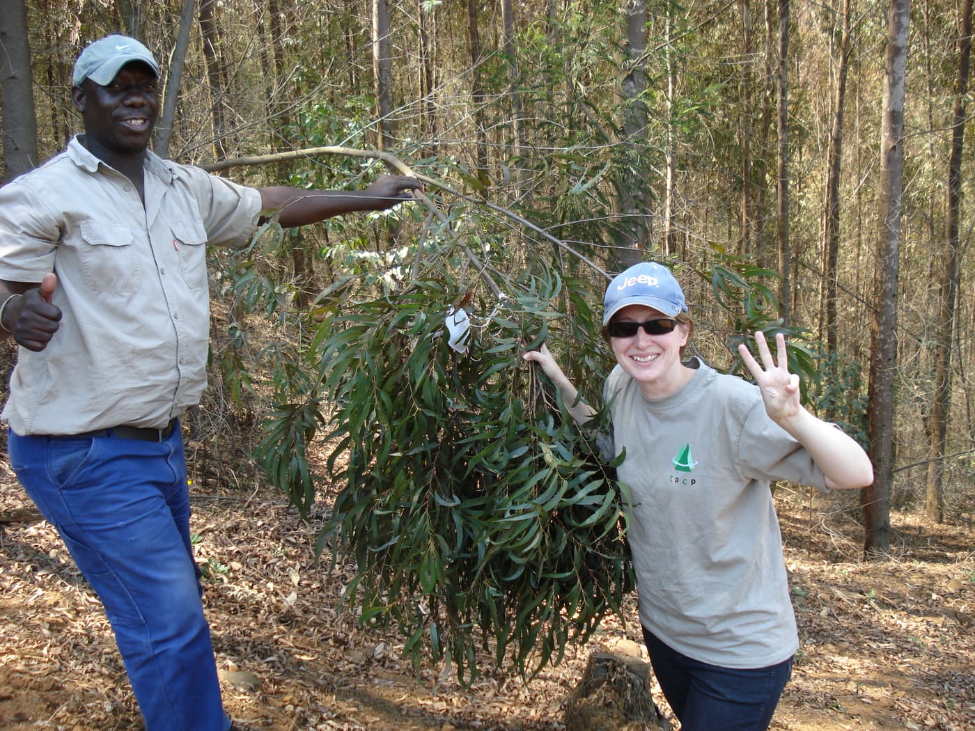Celebrating one year in the Biocontrol efforts of the bronze bug