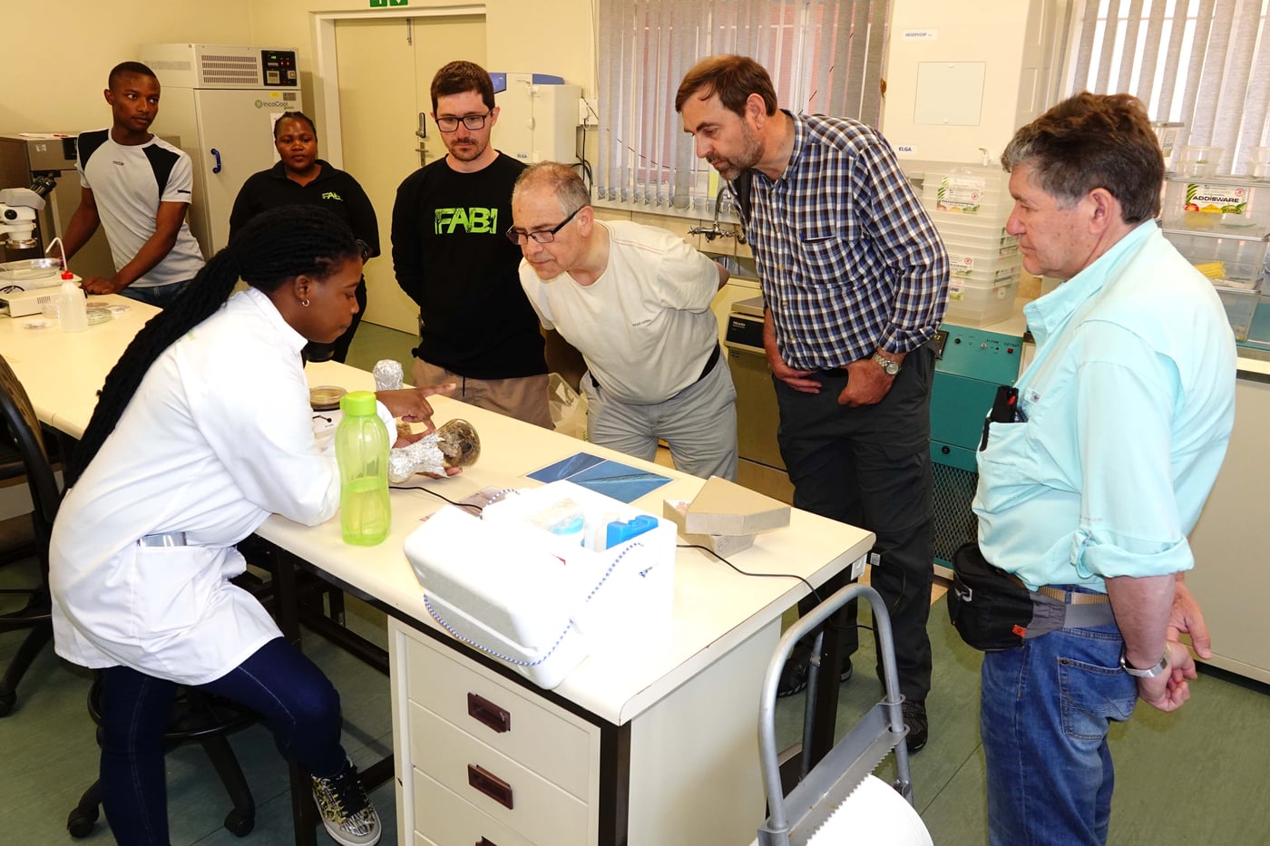 Chilean tree breeders visit FABI