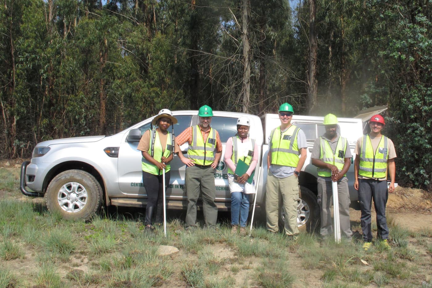 An international team behind a FABI-industry forest pest mating disruption trial