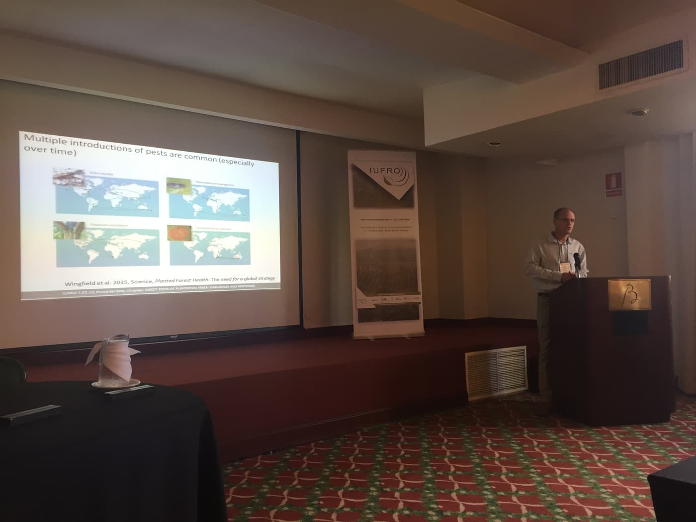 Forest health in Southern Hemisphere commercial plantations