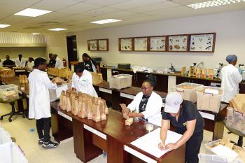 Annual seed packing for National Maize Cultivar Trials 