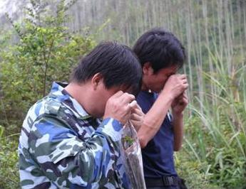 XinTao and Shuaifei looking for pathogens.